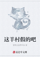 这羊村假的吧在线阅读