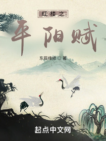 红楼之平阳赋（张瑾瑜、秦可卿）在线阅读
