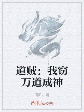 道贼：我窃万道成神在线阅读