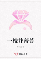 一枝并蒂芳在线阅读