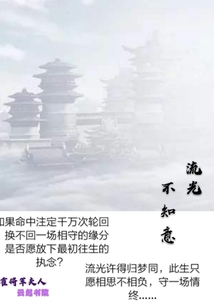 流光不知意