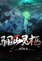 十二天書之陰山靈柩在線閱讀