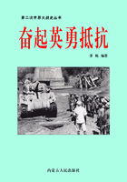 奋起英勇抵抗在线阅读