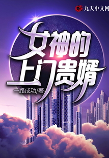 女神的上門貴婿