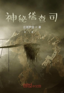 神秘稽查司