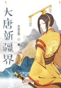 大唐新疆界
