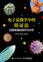 电子显微学中的辩证法：扫描电镜的操作与分析在线阅读