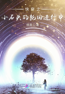 快穿之小石頭的輪回進行中