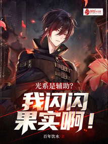 光系是輔助？我閃閃果實啊！