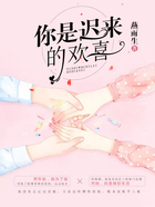你是迟来的欢喜在线阅读