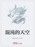 混沌的天空在线阅读