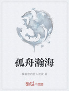 孤舟瀚海在线阅读