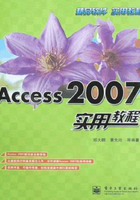 Access 2007实用教程在线阅读