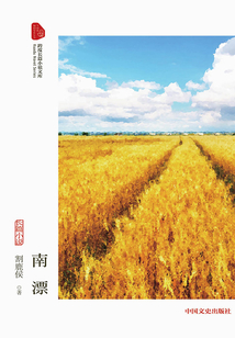 南漂