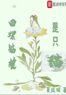 田螺姑娘是只貓