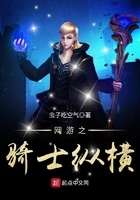 網游之騎士縱橫在線閱讀