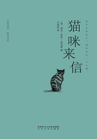 猫咪来信（中英对照 图文美绘）