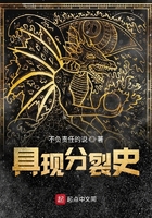 具現(xiàn)分裂史在線閱讀