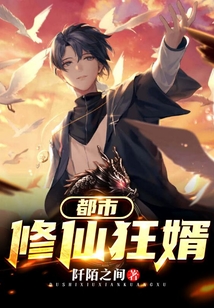 都市修仙狂婿