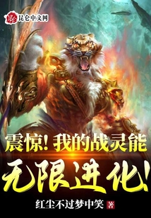 震驚！我的戰(zhàn)靈能無限進化！