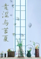 青涩与苦夏在线阅读