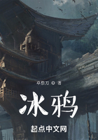 冰鸦