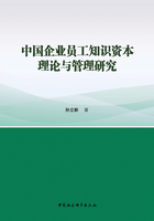 中国企业员工知识资本理论与管理研究在线阅读