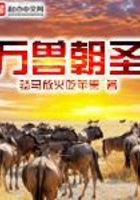 萬獸朝圣在線閱讀
