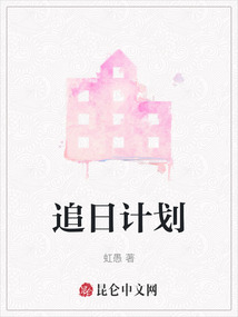 追日計劃