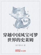 穿越中国风宝可梦世界的史莱姆在线阅读