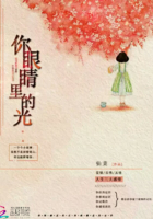 你眼睛里的光在線閱讀