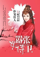 拒宠佳人:嚣张女侍卫