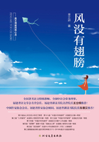 风没有翅膀在线阅读