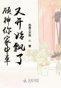顧神你家中單又開始飄了