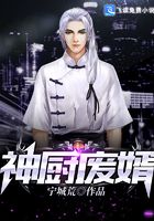 神廚廢婿在線閱讀