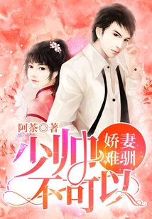 嬌妻難馴：少帥，不可以！
