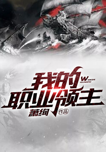 我的職業(yè)領(lǐng)主