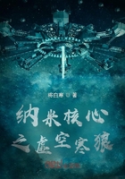 纳米核心之虚空寒狼在线阅读