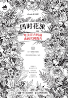 四时花旅：唯美花卉线稿插画实例教程在线阅读