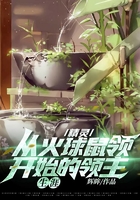 精灵:从火球鼠领开始的领主生涯在线阅读