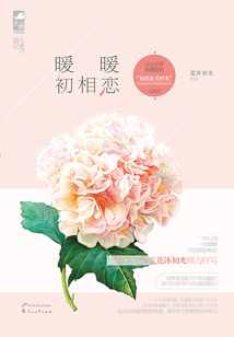 暖暖初相戀
