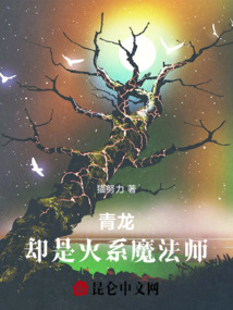青龍,卻是火系魔法師