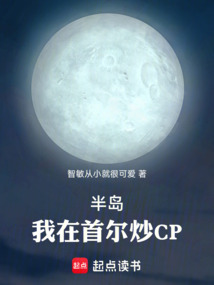 半岛：我在首尔炒CP 封面