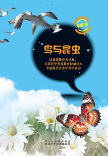 鳥與昆蟲