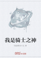 我是骑士之神在线阅读