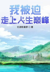 我被迫走上人生巅峰