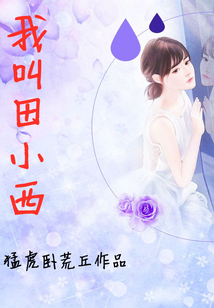 我叫田小西