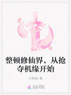 整顿修仙界,从抢夺机缘开始在线阅读
