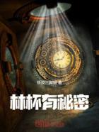 林杯有秘密在线阅读