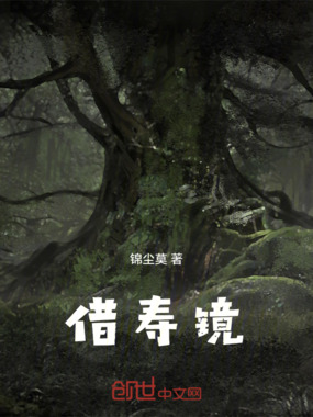 借寿镜在线阅读